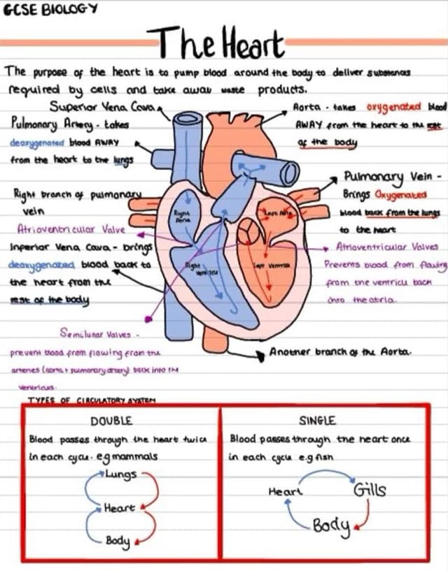 Mock-up of a handwritten PDF note titled
